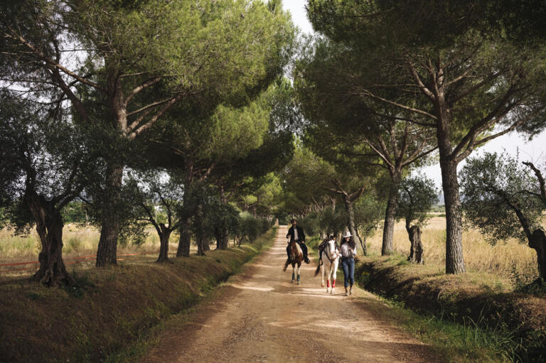 2023 Korbinian Seifert Photography Lifestyle Automotive Caravan Laika ecovip horseranch 13