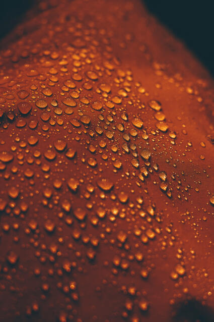 2023 Korbinian Seifert Photography Maloja Gore Tex Corporate 001