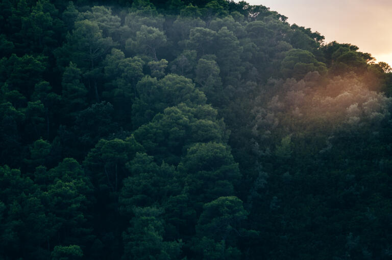 Fotoshooting für die Rodenstock Brillenfassungen Kollektion 2023 auf der Insel Skiathos zusammen mit der Agentur Pascher Heinz